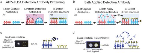 Multiplex ATPS-ELISA (a) and conventional sandwich ELISA (b) share... | Download Scientific Diagram