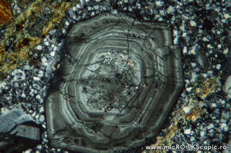 Plagioclase thin section - Tectosilicates - MicROCKScopic