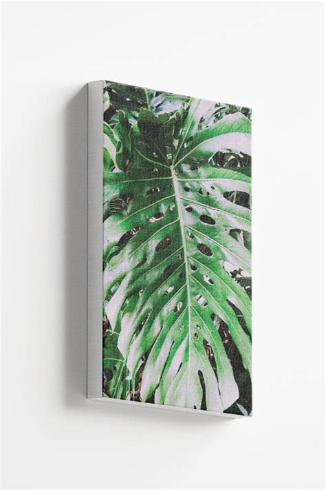 Tropical leaf close view Canvas - Artdesign