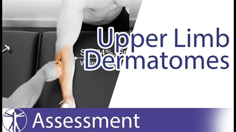 Upper Limb Dermatome Testing - Dermatomes Chart and Map