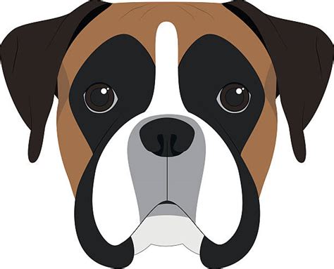 Boxer Dog Illustrations, Royalty-Free Vector Graphics & Clip Art - iStock