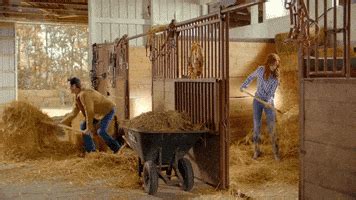 Barn GIFs - Find & Share on GIPHY