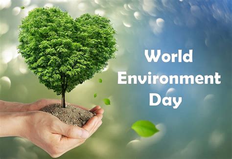 World Environment Day 2024: Images, Posters, Quotes and Slogans