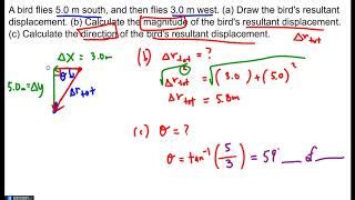 how to calculate magnitude of displacement - stepstobecomeafashiondesigner