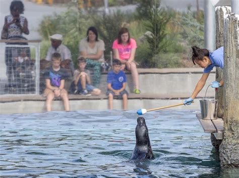 Explore the Riverbanks Zoo & Garden in Columbia SC