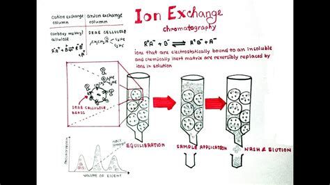 Ion Exchange Chromatography Khan Academy at Hector Lamb blog