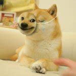 Doge smile mask Meme Generator - Imgflip