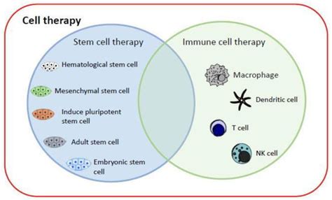 Biomedicines | Free Full-Text | An Alternative Cell Therapy for Cancers: Induced Pluripotent ...