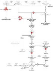 “Biosynthesis of steroids” identified as the top canonical pathway...