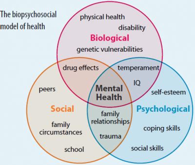 Modelo Biopsicossocial Ir para: navegação, pesquisa - CampCursos