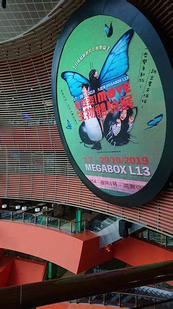 Mega Box (Hong Kong) - 2019 All You Need to Know BEFORE You Go (with Photos) - TripAdvisor