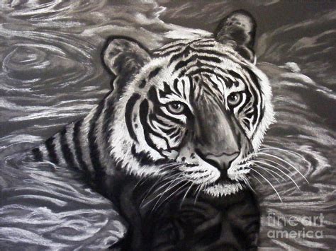 Black Tiger Painting by Dan Remmel - Fine Art America