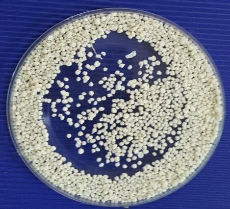 An image of uncoated calcium alginate beads loaded with mefenamic acid ...