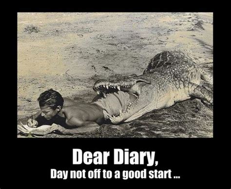 [Image - 724159] | Dear Diary... | Know Your Meme