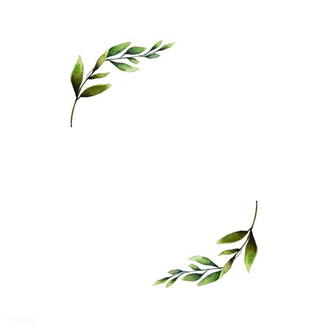 Hand-drawn olive branch frame watercolor style vector | free image by ...