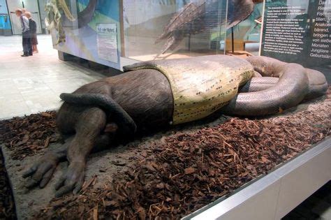 Titanoboa Was a 50-Foot-Long, 2,000-Pound Giant Prehistoric Snake ...