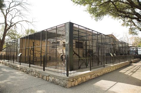 San Antonio Zoo closing monkey habitat for renovation