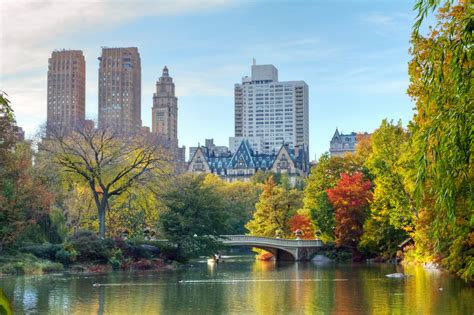 Central Park, New York: 10 things to do - Telegraph