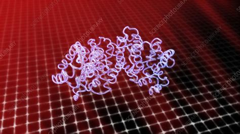 Heat denaturing protein - Stock Video Clip - K004/3256 - Science Photo Library