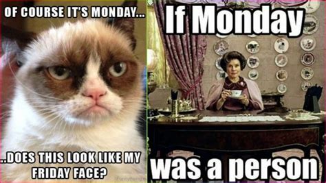 Monday Morning Jokes & Funny Images: Best WhatsApp Messages, Memes ...