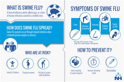 Swine Flu 2024 Symptoms - Kylie Vivyan