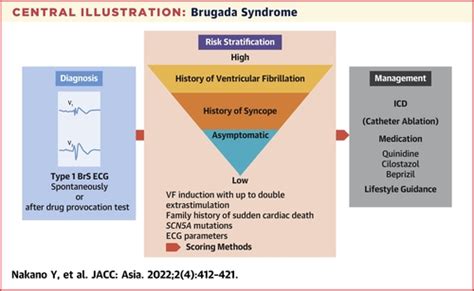 Brugada Syndrome as a Major Cause of Sudden Cardiac Death in Asians | JACC: Asia