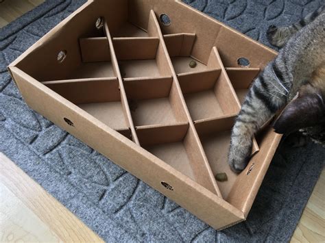 Beautiful Diy Cat Food Puzzle Amazing Design | Diy cat food, Pet diy projects, Diy toy box