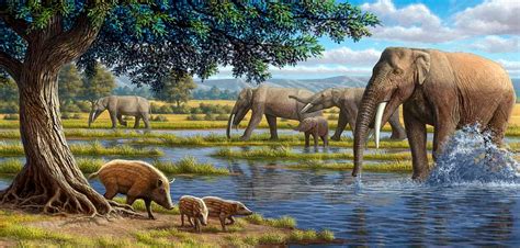 Miocene Epoch | Paleontology World