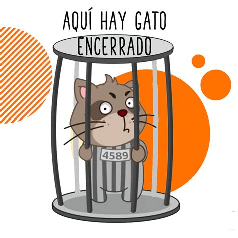 ¿Sabés cuál es el origen de la expresión “Acá hay gato encerrado”? - Billiken