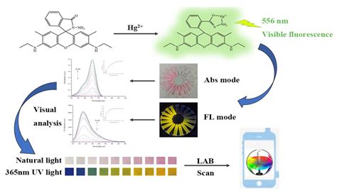 Fluorescent and Colorimetric Dual-Mode Strategy Based on Rhodamine 6G ...