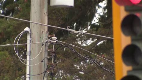 Trim trees to mitigate power outage risk: expert | CityNews Vancouver