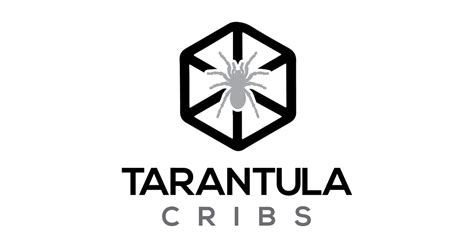 Avicularia Avicularia | Pinktoe | Tarantula Care Guide – Tarantula Cribs