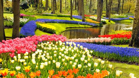 Keukenhof, A Haven of Tulips in Amsterdam, The Netherlands - Traveldigg.com