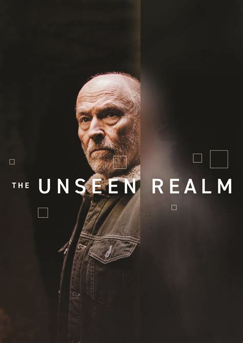 Best Buy: The Unseen Realm