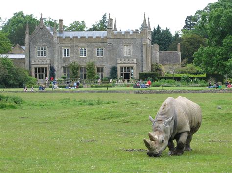 Cotswold Wildlife Park near Burford. | England with kids | Pinterest ...