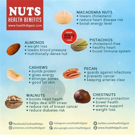 Health Benefits of Eating Nuts | Nuts health benefits, Food health benefits, Healthy nuts