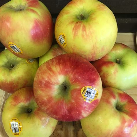 Honeycrisp Apples | Organic Apples | San Diego Fruit Delivery