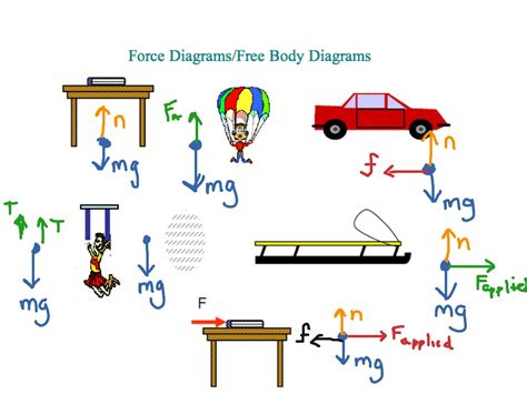 Free body diagrams | Science | ShowMe