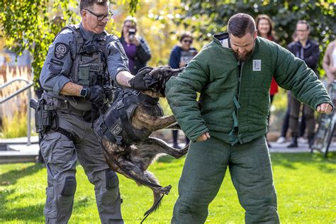 Calgary police, youth foundation release annual fundraising calendars ...