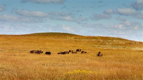 Shrub Steppe Wallpapers - Wallpaper Cave