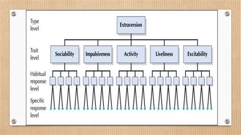 Eysenck’s Hierarchial Model of Personality