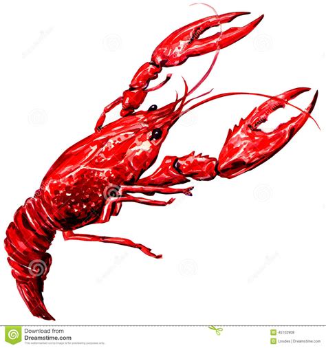 Crawfish Drawing at GetDrawings | Free download