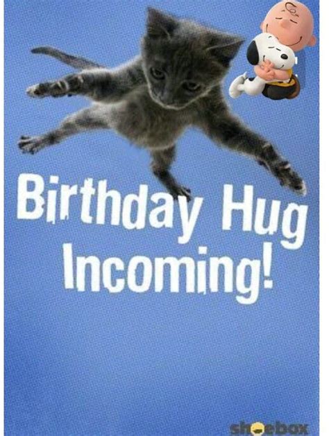 Birthday Wishes With Cats Page 2 - vrogue.co