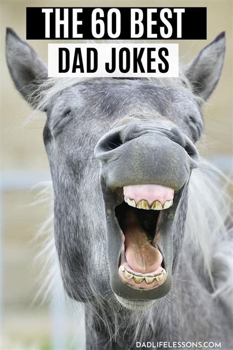 60 Best Dad Jokes - So Funny Even the Wife will Laugh! | Best dad jokes, Funny jokes for kids ...