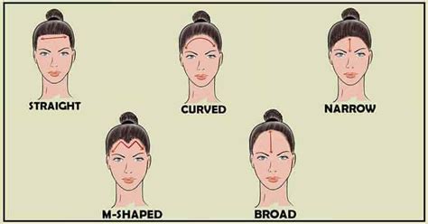 The Complete Guide to the Hairline in Chinese Face Reading - Wisdom Tavern