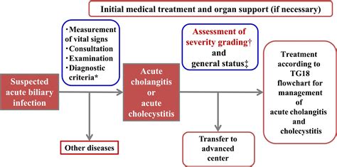 Cholecystitis Treatment