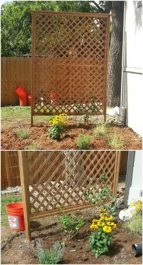 20 Easy DIY Trellis Ideas To Add Charm and Functionality To Your Garden