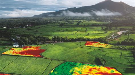 The future of farming is using drones and sensors