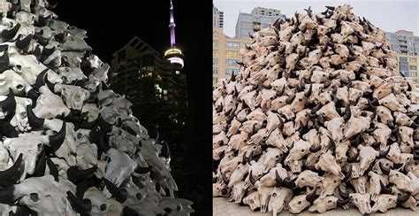 The pile of bison skulls on Toronto's waterfront is a comment on ...