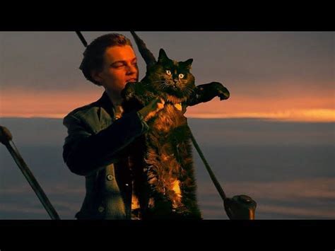 OwlKitty's 'Titanic with a Cat' video goes viral and the internet just can't get enough